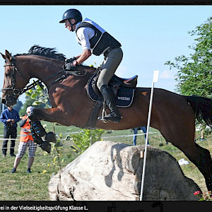 🏇 Württembergische Meisterschaften - Reiter ermitteln auf dem Lußhof die württembergischen Meister
