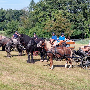 🏆 PSK Oberschwaben-Cup Breitensport 2024 - Albersfeld