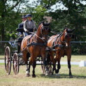 🏆 PSK Oberschwaben-Cup Breitensport 2023 - Zollenreute