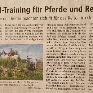 🌟Fortbildung Breitensport - Trail Training