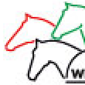 Wissenswert - Erhöhung der Schulpferdeversicherung im Rahmen der Sportversicherung des WLSB