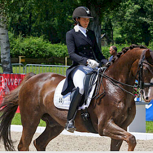 Baden-Württembergische Meisterschaften - Erfolge in der Dressur & Springen 🐎🥇
