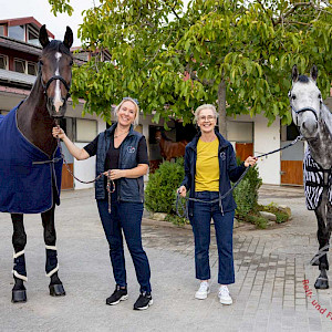 Wissenswert - 100 Schulpferde plus: Das sind die Gewinner der vierten Verlosung 🎉