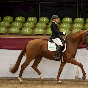 Vajana siegte im Finale des Gert-Gussmann-Cups 2025 unter Margit Hagel. / © DoMa