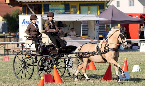 🏆Ichenheim: Doppel-Gold & Single-Silber-Erfolg bei den Baden-Württembergischen Meisterschaften U25 im Fahrsport! 🏆
